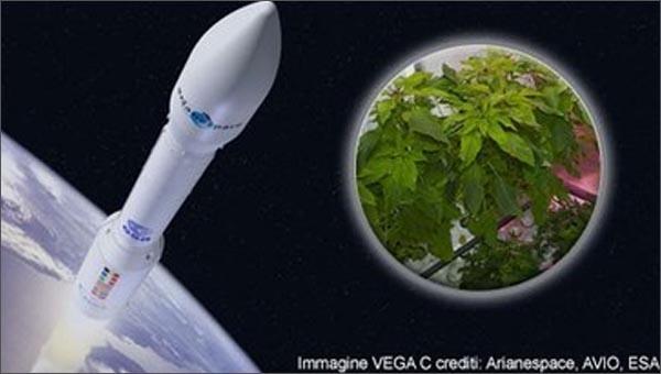 Innovazione: è made in Italy il primo micro-orto in orbita per coltivare verdure nello spazio