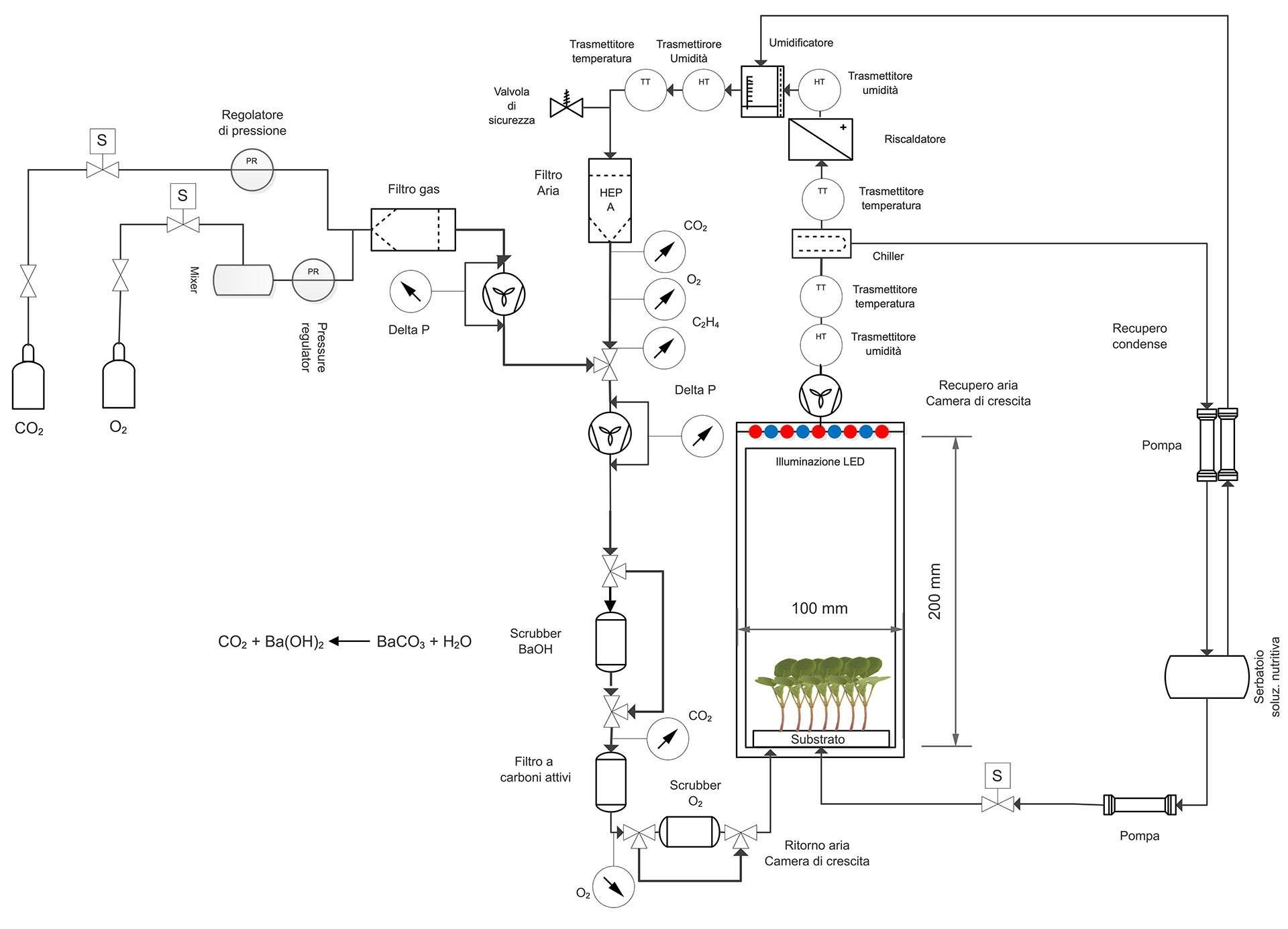 Schema Drawing Microgreens Greencube