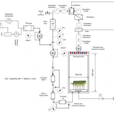 Schema Drawing Microgreens Greencube